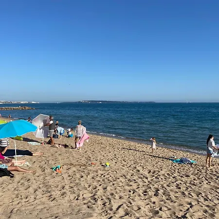 Vue Panoramique Sur Cannes, 100m2 3p דירה